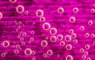 abstract background with bubbles pink