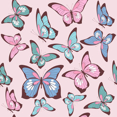Fototapeta na wymiar pattern beautiful color butterflies set