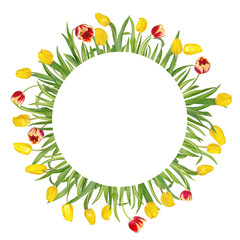 Circular floral frame made of beautiful red and yellow tulips on long stems with green leaves. Isolated on white background. Bright spring mockup.