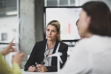 Business executives discussing wind energy
