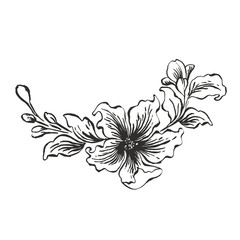 Flower illustration design