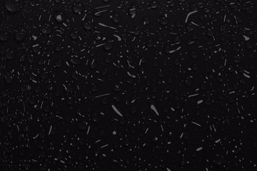 web, spider, abstract, dew, nature, water, pattern, drops, blue, cobweb, net, morning, spiderweb, macro, insect, light, design, green, drop, texture, technology, closeup, wet, network