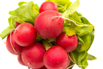 bunch of radish isolated on white background
