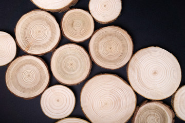 Pine tree cross-sections with annual rings on black background. Lumber piece close-up shot, top view.