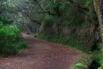 Hiking trails along levadas to Risco fountain on Portuguese island of Madeira