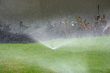 Automatic garden lawn sprinkler, watering the grass.