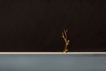 Deadvlei tree in last light