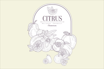 Vector hand drawn illustration of fresh citrus fruits and frame with place for text. Natural product. Healthy food. Organic nutrition. Sketch design for promo banner or poster