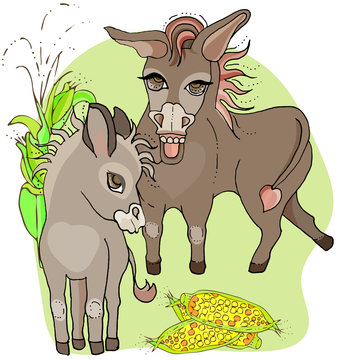 Cartoon happy donkey.the family of donkeys,mother and calf,eat corn