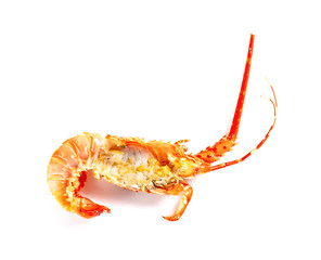 eaten lobster shell on a white background