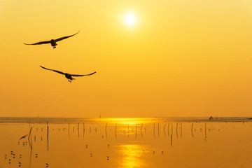 Silhouette seagulls bird are flying over the sea during sunset