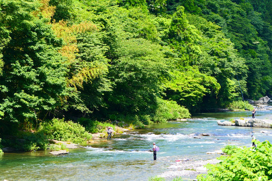 気仙川」の写真素材 | 391件の無料イラスト画像 | Adobe Stock