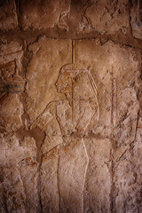 hieroglyph in temple of queen hatsepsut