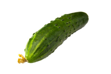 fresh green cucumber on white background