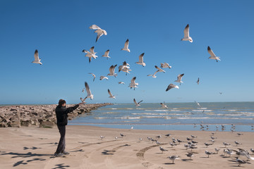 Landscape with the sea and a teenager who feeds flying seagulls. Texas Coast, Gulf of Mexico, USA