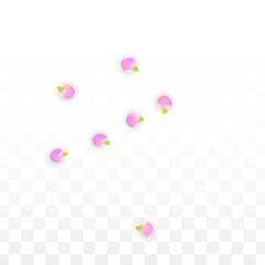 Vector Realistic Pink Petals Falling on Transparent Background.  Spring Romantic Flowers Illustration. Flying Petals. Sakura Spa Design. Blossom Confetti.