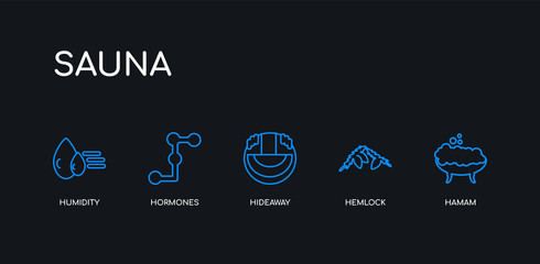 5 outline stroke blue hamam, hemlock, hideaway, hormones, humidity icons from sauna collection on black background. line editable linear thin icons.