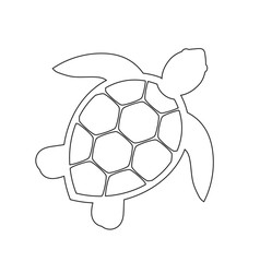 Obraz premium Sea turtle line icon