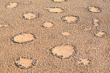 Fairy circles in Namib desert