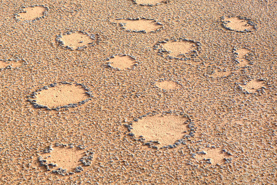 Fairy circles in Namib desert