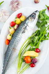 Squid and cooking fresh spice ingredients