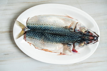 a slaughtered squid on a white plate