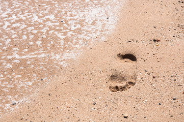 Footprints standing bare in the sand