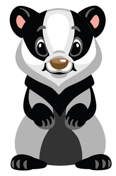cartoon badger standing on two legs .Front view . Isolated vector illustration for baby and little kid