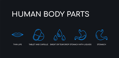 5 outline stroke blue stomach, stomach with liquids, sweat or tear drop, tablet and capsule medications, thin lips icons from human body parts collection on black background. line editable linear