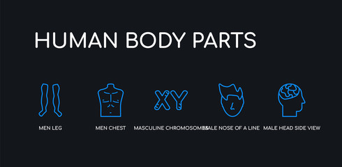 5 outline stroke blue male head side view with brains, male nose of a line, masculine chromosomes, men chest, men leg icons from human body parts collection on black background. line editable linear
