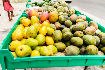 Mountain fruits in Jamaica