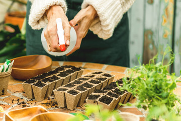 Watering flowers in my home garden