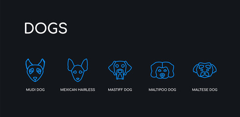 5 outline stroke blue maltese dog, maltipoo dog, mastiff dog, mexican hairless mudi icons from dogs collection on black background. line editable linear thin icons.