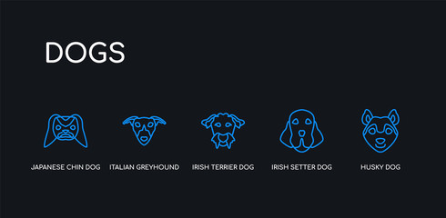 5 outline stroke blue husky dog, irish setter dog, irish terrier dog, italian greyhound japanese chin icons from dogs collection on black background. line editable linear thin icons.