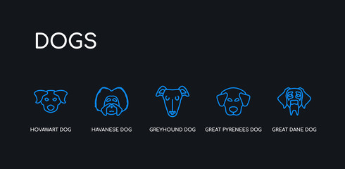 5 outline stroke blue great dane dog, great pyrenees dog, greyhound dog, havanese hovawart icons from dogs collection on black background. line editable linear thin icons.