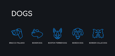 5 outline stroke blue border collie dog, borzoi dog, boston terrier dog, boxer bracco italiano icons from dogs collection on black background. line editable linear thin icons.