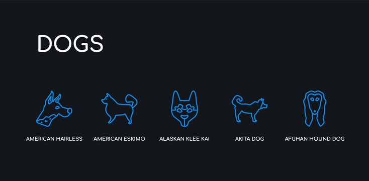 5 outline stroke blue afghan hound dog, akita dog, alaskan klee kai dog, american eskimo american hairless terrier icons from dogs collection on black background. line editable linear thin icons.