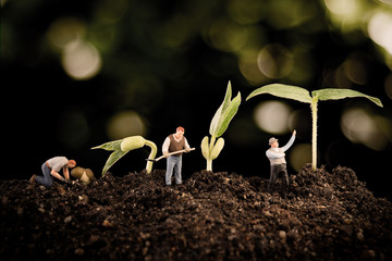 Gardener planting tree , plant growing in soil on bokeh nature background ecology businees growth...