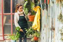 Watering flowers in my home garden