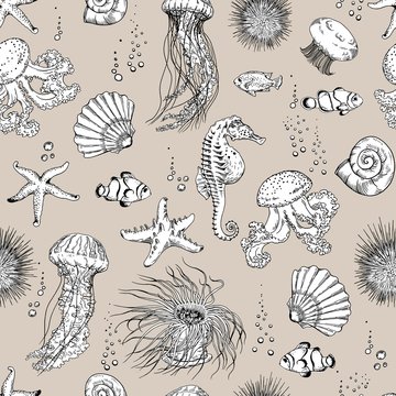 Seamless pattern with underwater creatures, jellyfish, starfish, sea horse, sea urchin, clown fish and shells. Hand drawn vector.