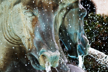 cavallo energetico © Matteo