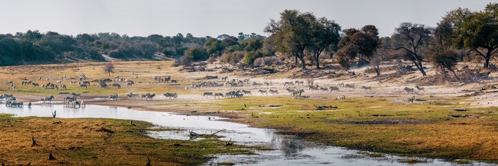 BOTETI RIVER - Die Letzte Oase in der Trockenzeit, Makgadikgadi National Park, Botswana