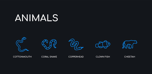 5 outline stroke blue cheetah, clown fish, copperhead, coral snake, cottonmouth icons from animals collection on black background. line editable linear thin icons.