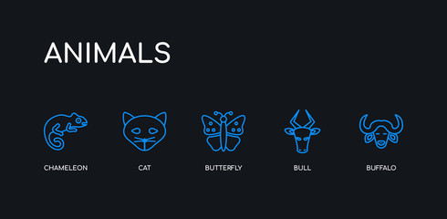 5 outline stroke blue buffalo, bull, butterfly, cat, chameleon icons from animals collection on black background. line editable linear thin icons.