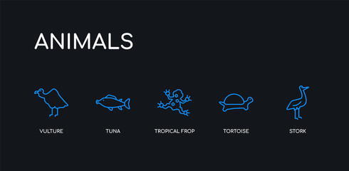 5 outline stroke blue stork, tortoise, tropical frop, tuna, vulture icons from animals collection on black background. line editable linear thin icons.