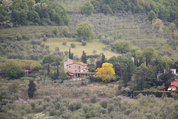 Typical Tuscany landscape with hills, green trees and mansion, Italy.