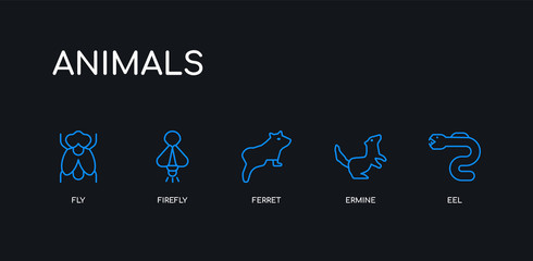 5 outline stroke blue eel, ermine, ferret, firefly, fly icons from animals collection on black background. line editable linear thin icons.