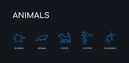 5 outline stroke blue cockroach, cocoon, coyote, desman, echidna icons from animals collection on black background. line editable linear thin icons.