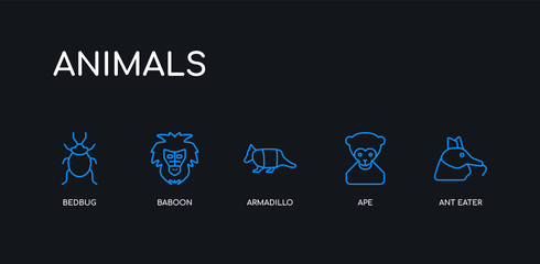 5 outline stroke blue ant eater, ape, armadillo, baboon, bedbug icons from animals collection on black background. line editable linear thin icons.