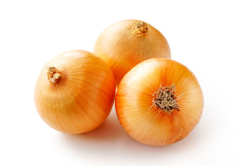 玉ねぎ　白背景
